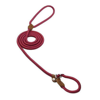 Nylon Dog Collar & Leash Set