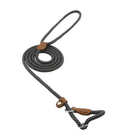 Nylon Dog Collar & Leash Set
