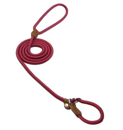 Nylon Dog Collar & Leash Set