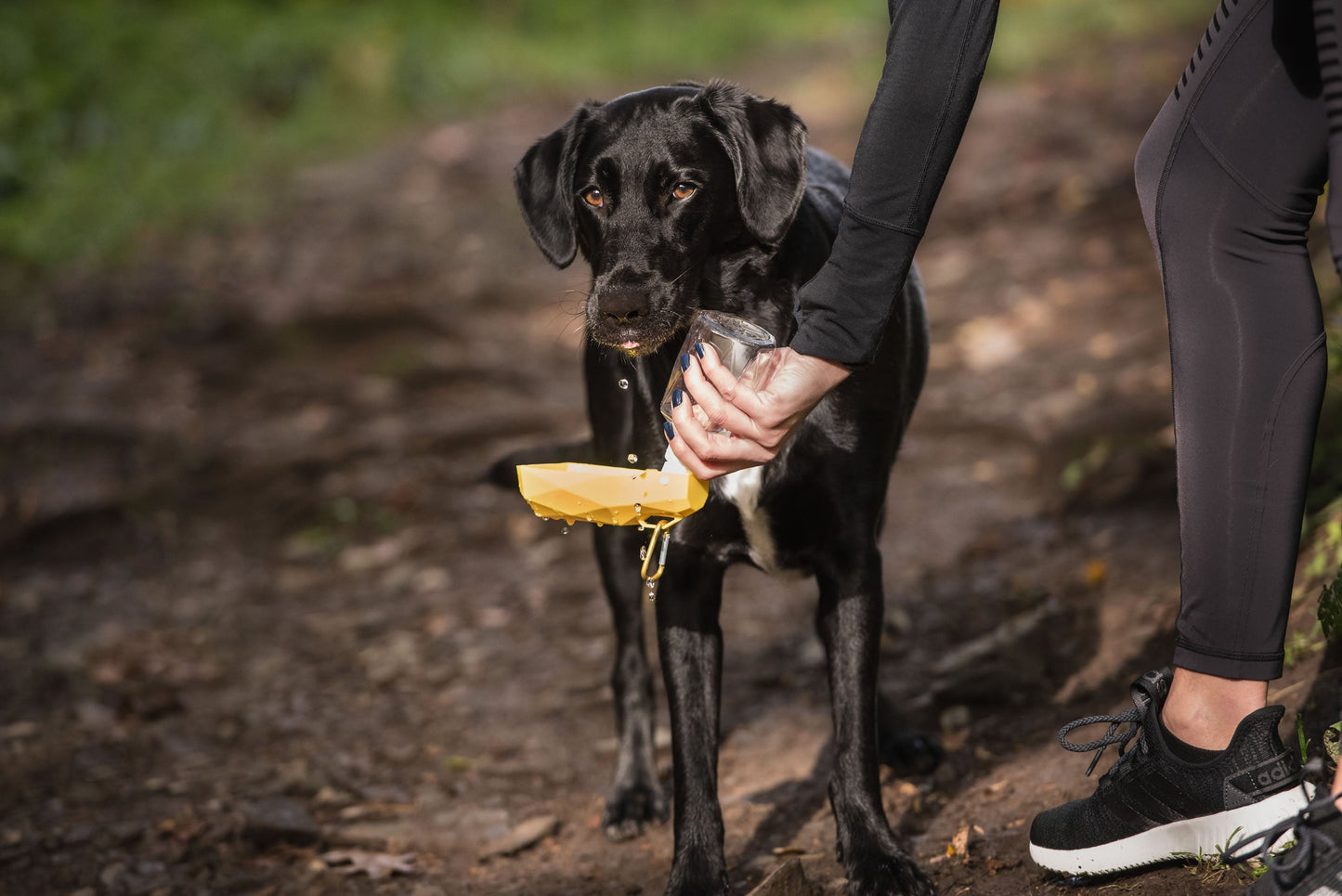 Potable Dog Water Bottle & Travel Bowl