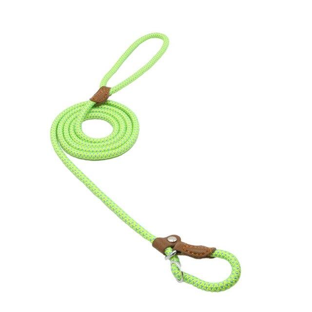 Nylon Dog Collar & Leash Set