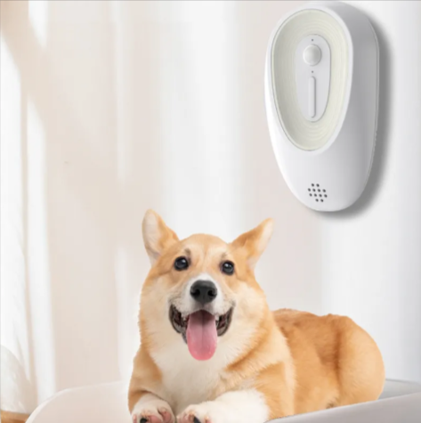 Pet Odor Eliminator for Dogs & Cats