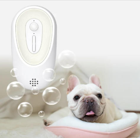 Pet Odor Eliminator for Dogs & Cats